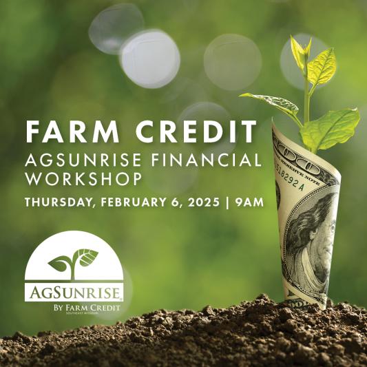 agsunrise financial workshop