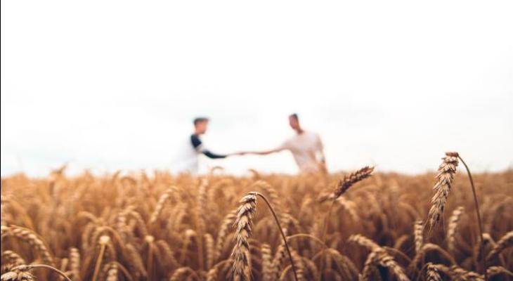 handshake in wheat field